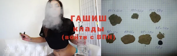 гидра Богданович