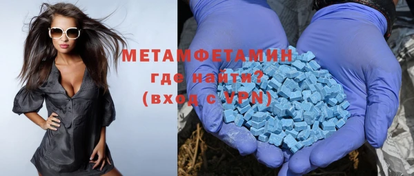 гидра Богданович