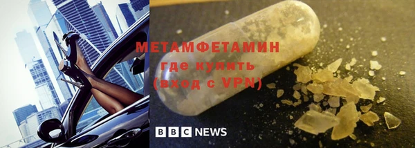 гидра Богданович