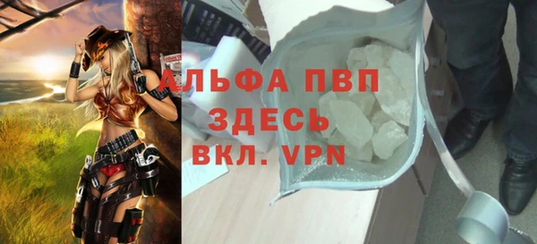 гидра Богданович