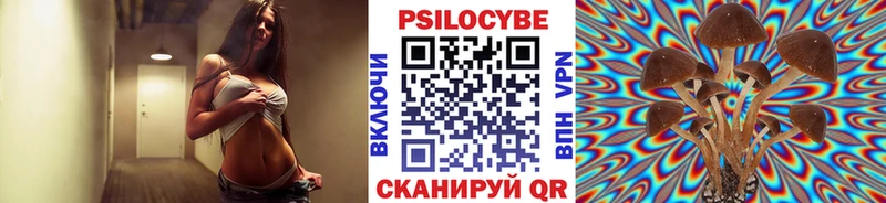 Галлюциногенные грибы GOLDEN TEACHER наркотики Вельск